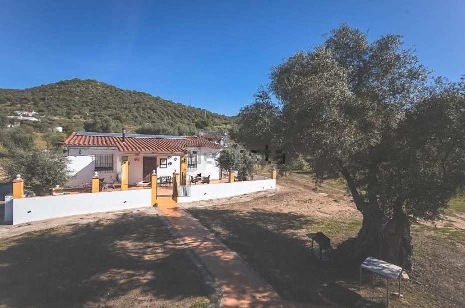 Casa Rural Los Naranjo Jerez De Los Caballeros Extérieur photo